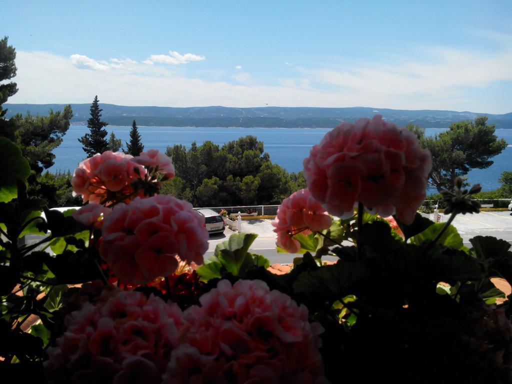 Villa Ljetni San Omiš Extérieur photo
